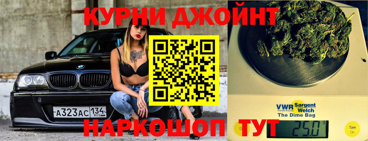 Конопля сатива Ноябрьск